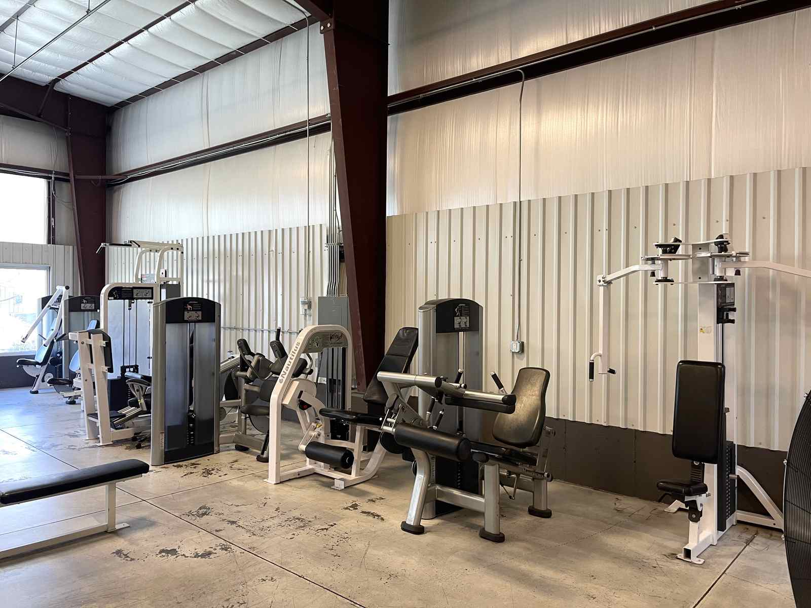 Selectorized leg machines along the wall.